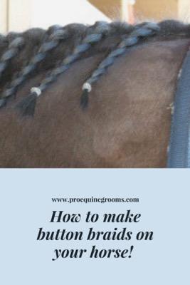 make dressage button braids