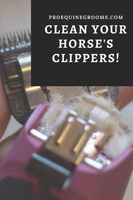 how to clean your horse clippers