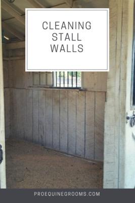 clean your horse's stall walls