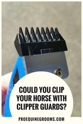 use clipper guards on your horse