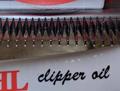 close up of clipper blades and clipper oil