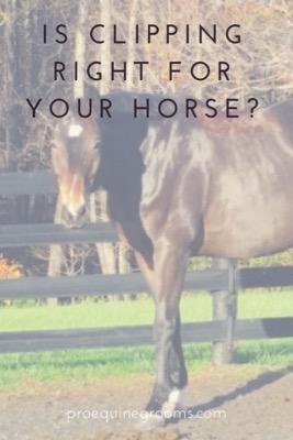 is clipping right for your horse