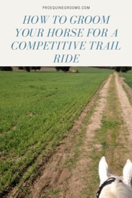 competitive-trail-ride
