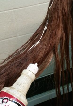 conditioner on a horse's tail