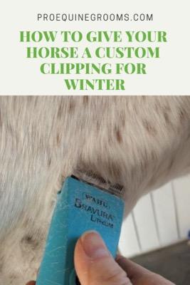 custom horse clip for winter