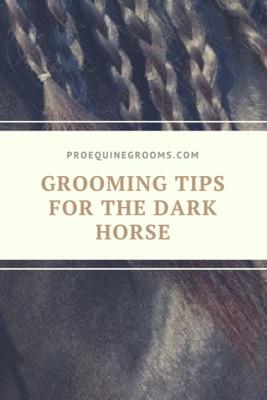 easy horse grooming tips for black and bay horses