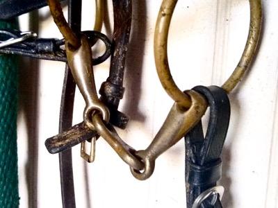 sticky bit and bit rings on a dirty bridle