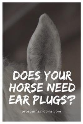 does your horse need earplugs