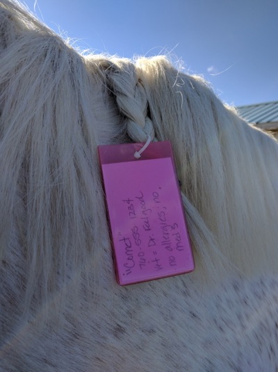 luggage-tag-for-horse-identification