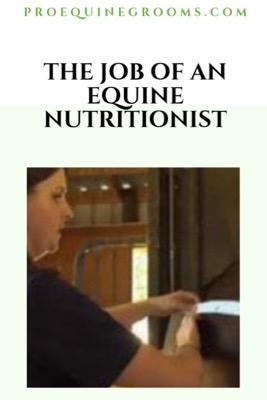 job of an equine nutritionist