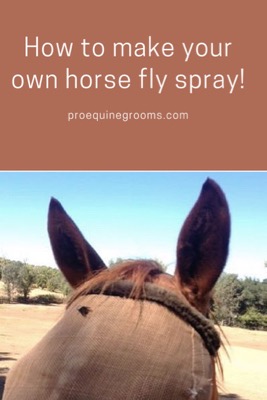 make-fly-spray