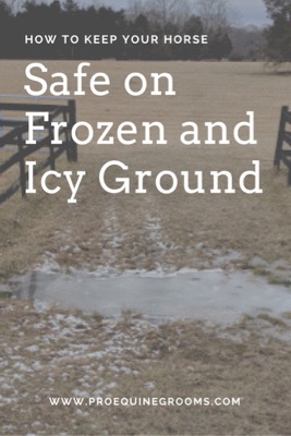 frozen ground and horses