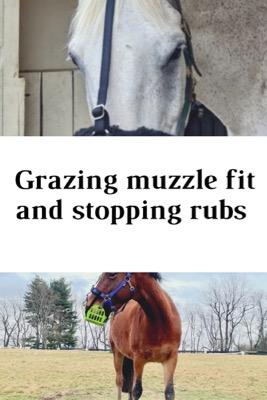 stop muzzle rubs and sores