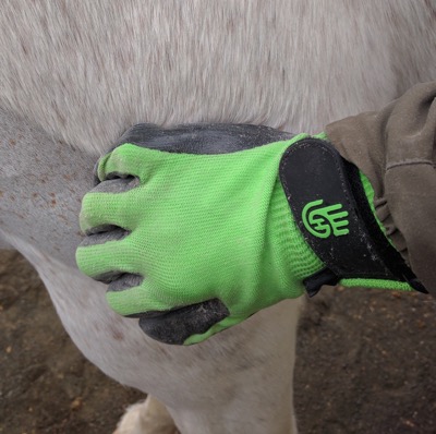 green-grooming-gloves