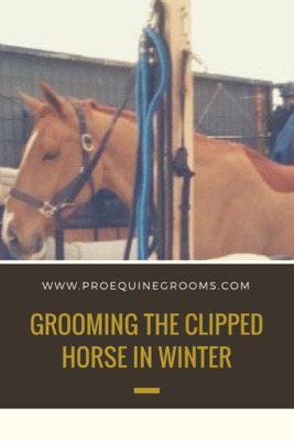 tips for grooming the clipped horse