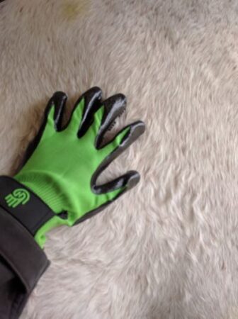 green-grooming-gloves-for-horses