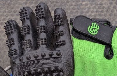 green hands on grooming gloves with some of the nubs showing