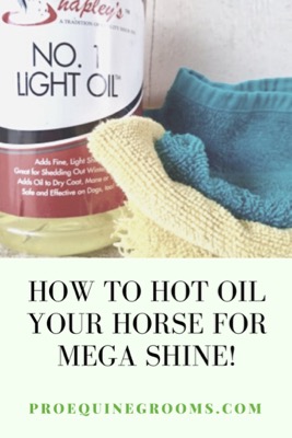 how to hot oil your horse for shine