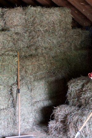 stacks of light green hay and rake