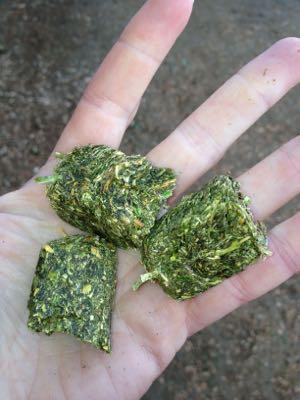 hay cubes in the palm of a hand