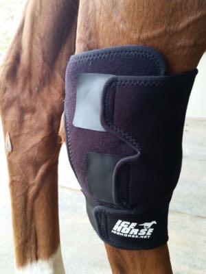 hock ice boot on horse back leg