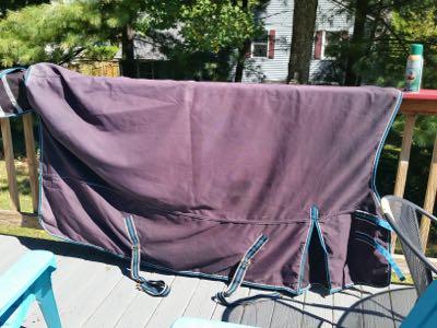 horse blanket on railing to dry
