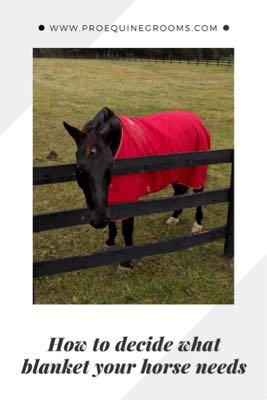 what blanket does your horse need