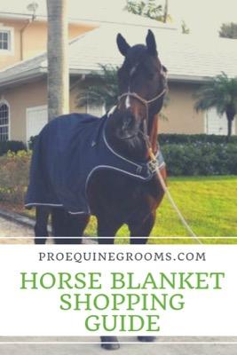 horse blanket shopping guide
