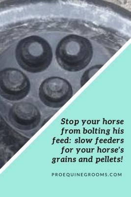stop a horse from bolting his food