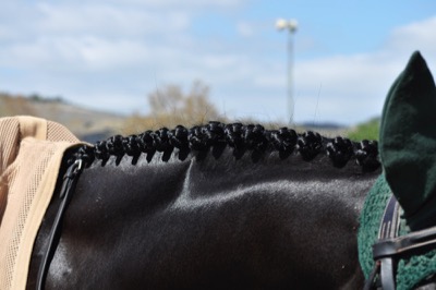 braids-black-horse