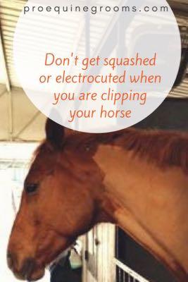 horse clipping safety