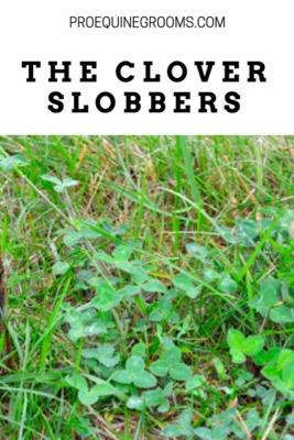 the clover slobbers 
