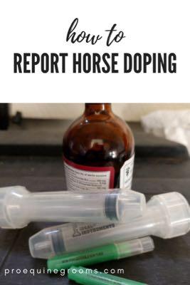 how to report horse doping and drugging