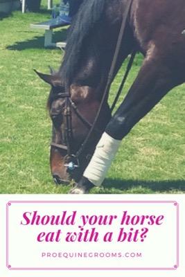 should your horse eat with a bit