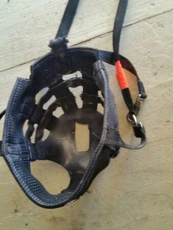 black grazing muzzle with extra ventilation cut