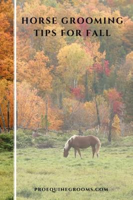 horse grooming tips for fall