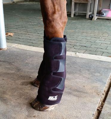 horse wearing suspensory ice boots that cover the fetlock