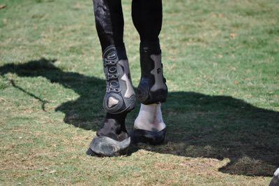 open front jumping boots
