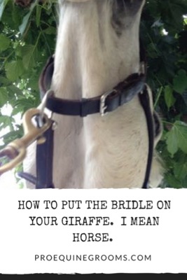 horse-lift-head-for-bridle