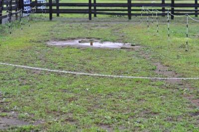 mud puddle in a horse paddock that is blocked off
