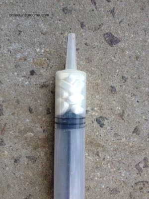 horse pills in a syringe
