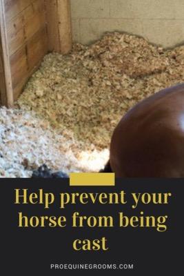 prevent your horse from being cast