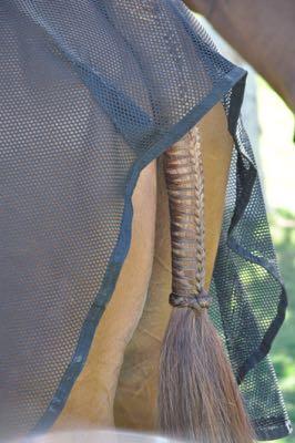 scrim sheet and braided tail