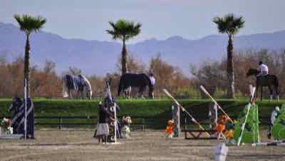horse show with mountains and palm trees