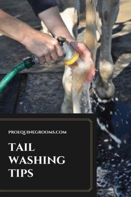 tail washing tips