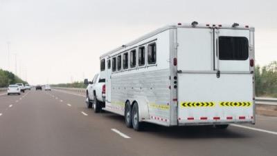 big horse trailer on highway