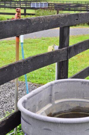 water trough next to pasture fence