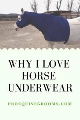 horse underwear