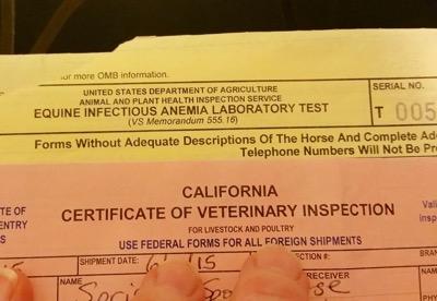 health certificates to travel with horses