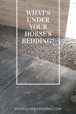 what's under your horse's bedding
